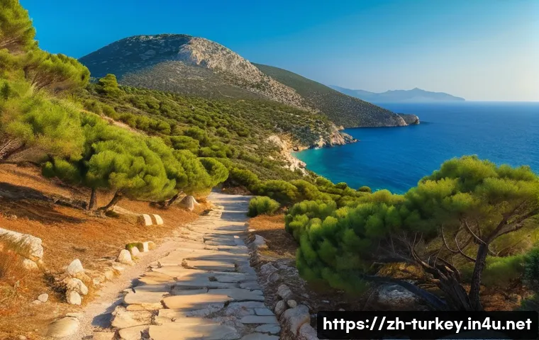 튀르키예의 주요 하이킹 트레일 - **Lycian Way Coastal Sunset Hike**
    A realistic, high-definition photograph capturing a female hi...