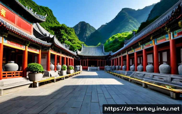 采购土耳其农产品前要看什么:主要产区、品类优势与成本判断指南 4 튀르키예의 농업 및 농산물 관련 이미지 2